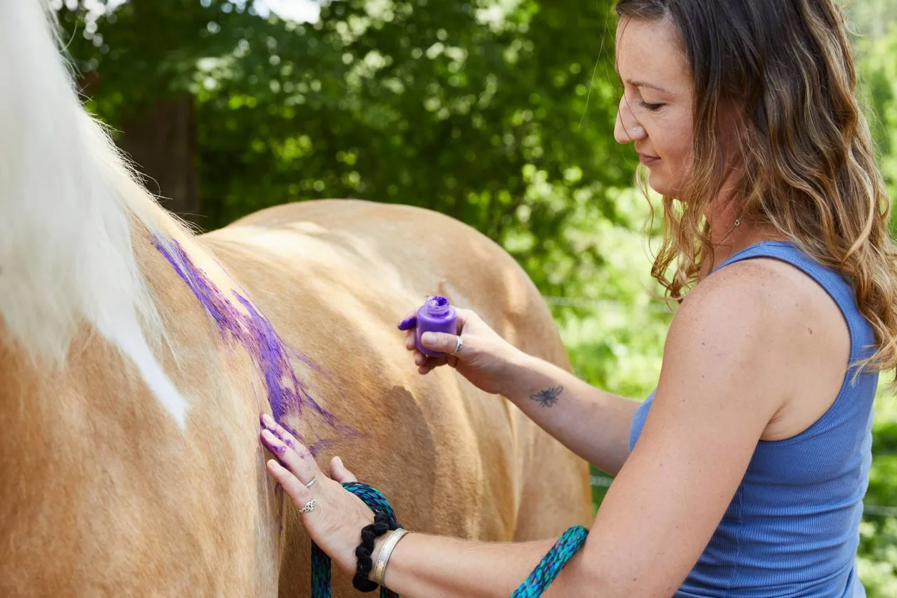 Miraval-Experiences-Equestrian Therapy